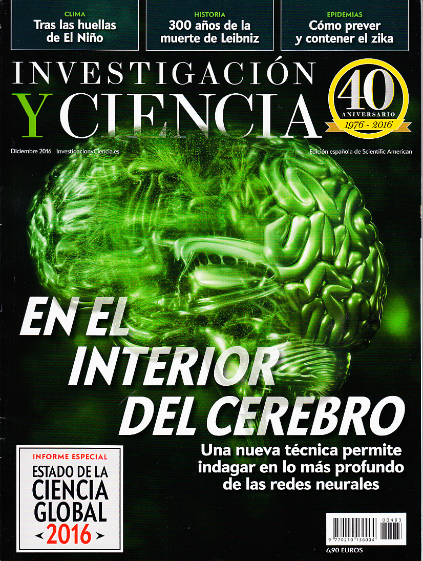 Revista Investigación y Ciencia El interior del cerebro